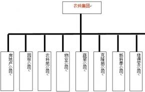 办公理念蜕变始于通达OA